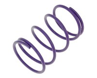 torque spring Malossi MHR purple +82% for Kymco, Honda,...