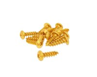 fairing screws anodized aluminum gold - set of 12 pcs -...