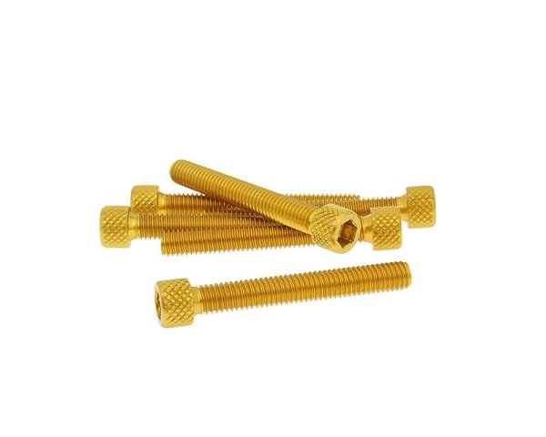 hexagon socket screw set - anodized aluminum gold - 6 pcs - M6x45 - styling