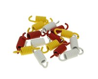 clutch spring kit Malossi Racing for Maxi Fly Clutch for...