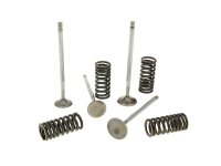 cylinder head valves Malossi racing with springs for...