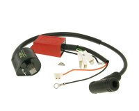 CDI unit with ignition coil Top Performances digital for...
