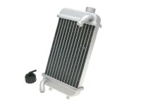 cooler w/ radiator cap for Motorhispania Furia, Furia...