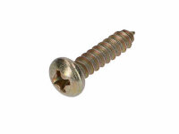 fairing screw OEM crosshead burnished 2.9x13mm