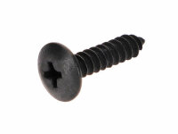 fairing screw OEM crosshead black 4.2x19mm
