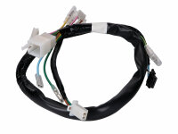 wire harness upper for Honda Wallaroo