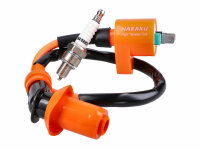ignition upgrade kit Naraku ignition coil and spark plug...