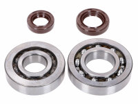 crankshaft bearing set Naraku SKF, FKM Premium C3 for...