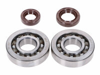 crankshaft bearing set Naraku SKF, FKM Premium C4...