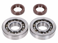 crankshaft bearing set Naraku SKF, FKM Premium C4...