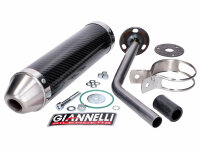 muffler Giannelli carbon for Aprilia RX 50 99-04, MX 50...