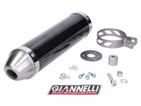 muffler Giannelli carbon for Aprilia RX, SX 50 06-15,...