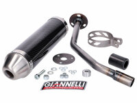 muffler Giannelli carbon for Beta RR 50