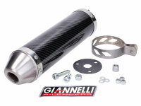 muffler Giannelli carbon for Aprilia RS 50 99-06, Tuono...