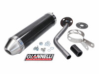 muffler Giannelli carbon for HRD Sonic 50 99-03
