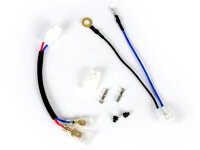 Adapter wire kit forCDI -BGM PRO with fixed timing for...
