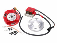 internal rotor ignition Italkit Selettra analog for...