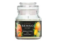 Lufterfrischer SENSO Home Scented Candle, Duftkerze 130...