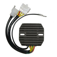 ElectroSport Charge controller ESR 770