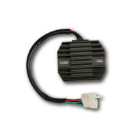 ElectroSport Charge controller ESR 840