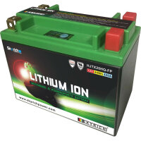 Skyrich Lithium-ion battery - HJTX20HQ-FP
