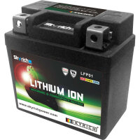 Skyrich Lithium-ion battery - LFP01
