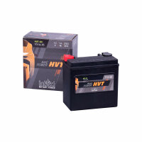 INTACT Bike Power HVT Batterie YTX14L-BS, gefüllt...