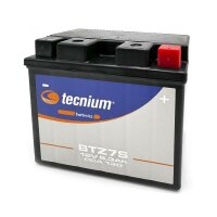 tecnium SLA battery, filled and charged - BTZ7S
